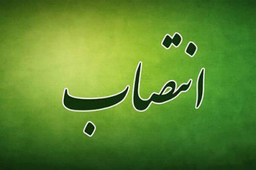مدیركل میراث فرهنگی فارس مدیر پژوهشگاه شد