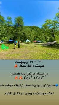 آیا برخی تورهای گردشگری مجوز سفر در استان های قرمز را دارند؟