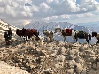 نظری بر نسخه گردشگری ضرغامی