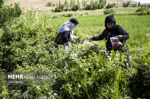 برگزاری بیش از ۷۰۰ رویداد گردشگری از شروع سال
