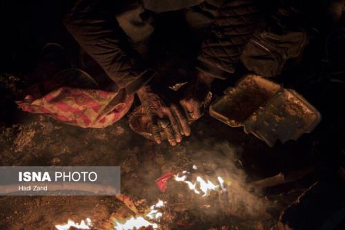 حدود 80 هزار معتاد متجاهر در کشور داریم