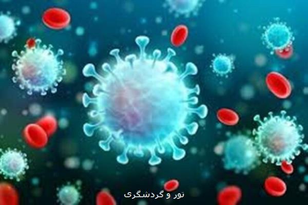 برنامه های بین المللی گردشگری پایدار در پساکرونا بررسی گردید