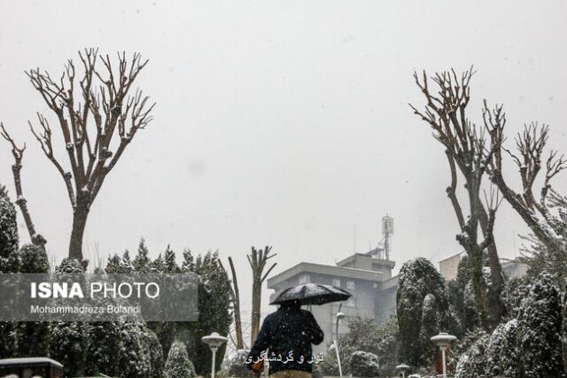 بارش برف تا اوایل امشب در تهران