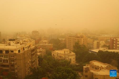 توفان شن در مصر قربانی گرفت