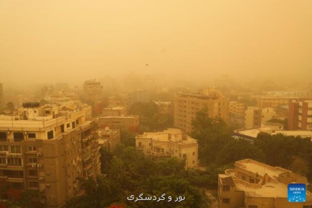 توفان شن در مصر قربانی گرفت