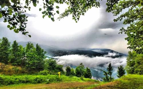 سفری تابستانی به گنجینه های بکر ایران