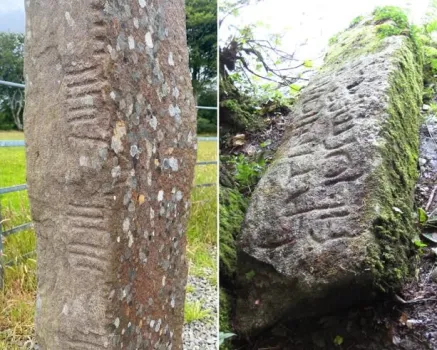 انتشار لغت نامه یک زبان باستانی