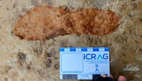 رد پای ۲۰۰۰ساله چطور نجات پیدا کرد؟