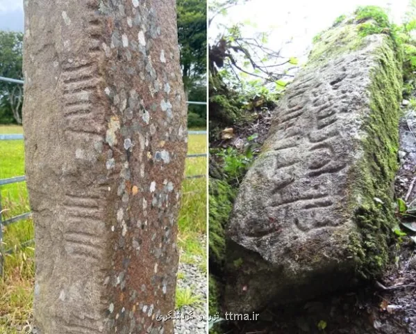 انتشار لغت نامه یک زبان باستانی