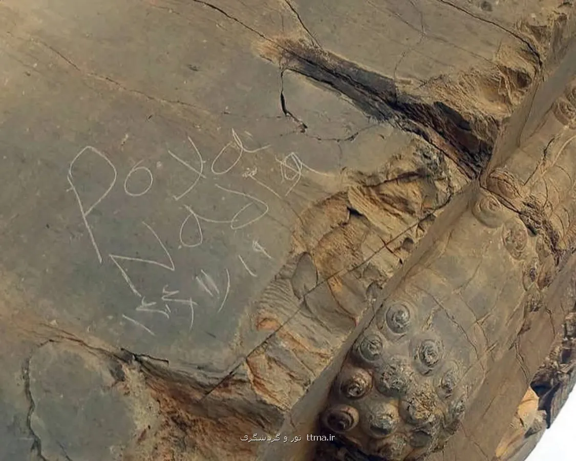 از ثبت جهانی تا پیگرد قضایی ماجرای یک یادگاری پرهزینه