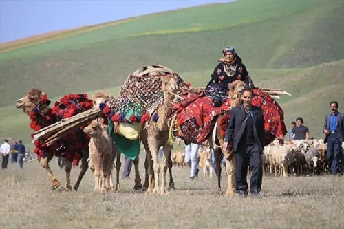از علف تا یونسکو این کوچ جهانی می شود