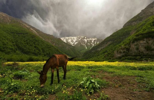 از آبشارهای پنهان تا دشت های مرتفع در فصل گرما کجا آب و هوا تازه کنیم؟