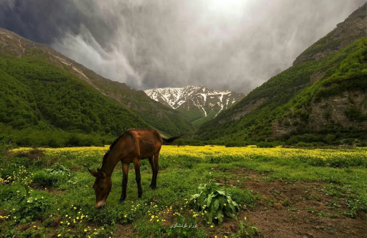 از آبشارهای پنهان تا دشت های مرتفع در فصل گرما کجا آب و هوا تازه کنیم؟