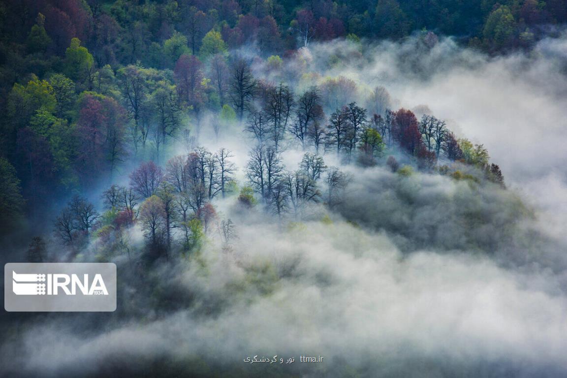 جادوی ابر و مه در جنگل توسكستان